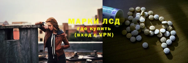 сатива Балахна