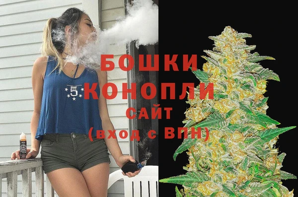 сатива Балахна
