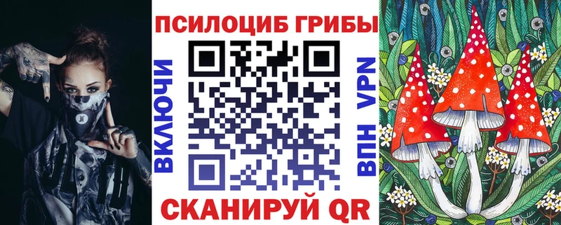 Псилоцибиновые грибы Psilocybe  Купить  Серов 